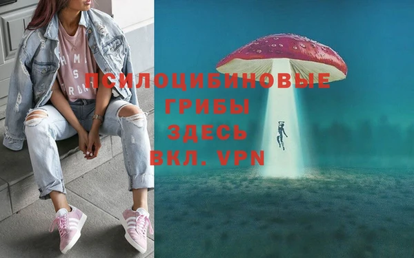 шишки Алексин
