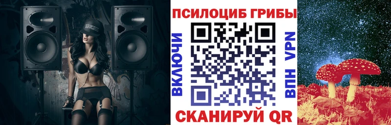Псилоцибиновые грибы прущие грибы  Жиздра 